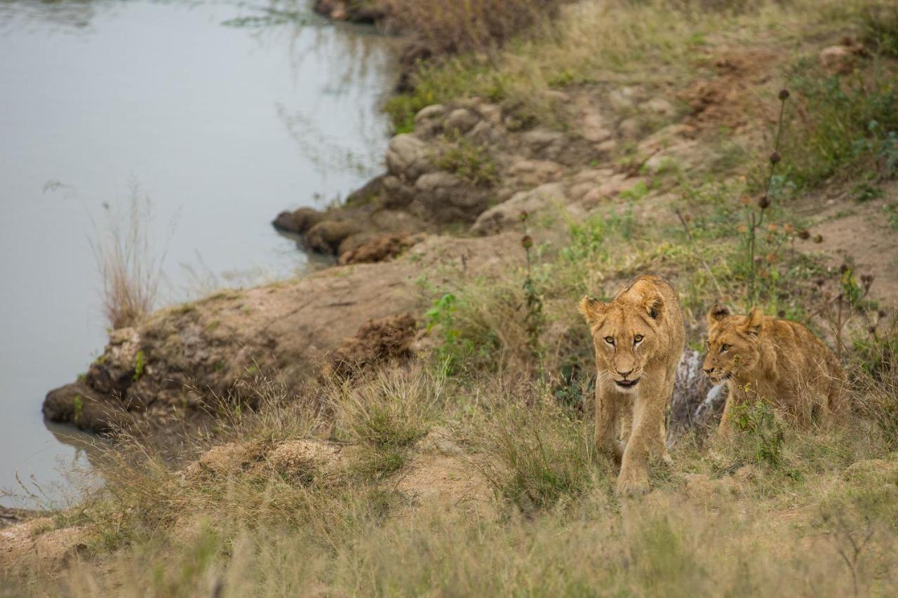 Hamiltons Tented Camp Mluwati Concession Luaran gambar