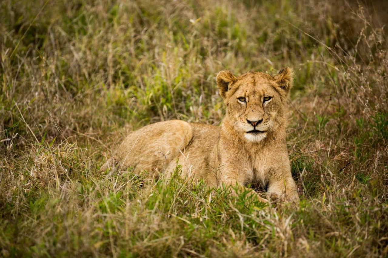 Hamiltons Tented Camp Mluwati Concession Luaran gambar