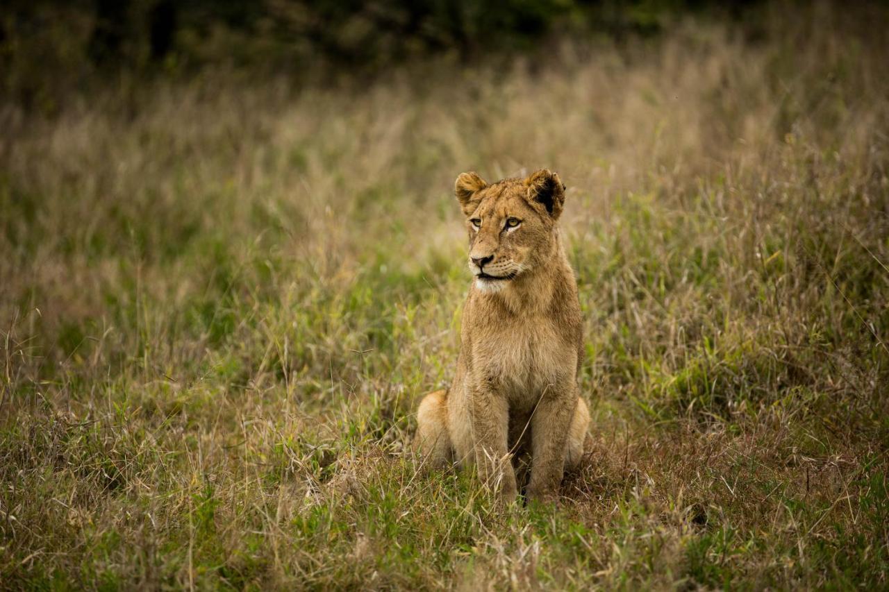 Hamiltons Tented Camp Mluwati Concession Luaran gambar