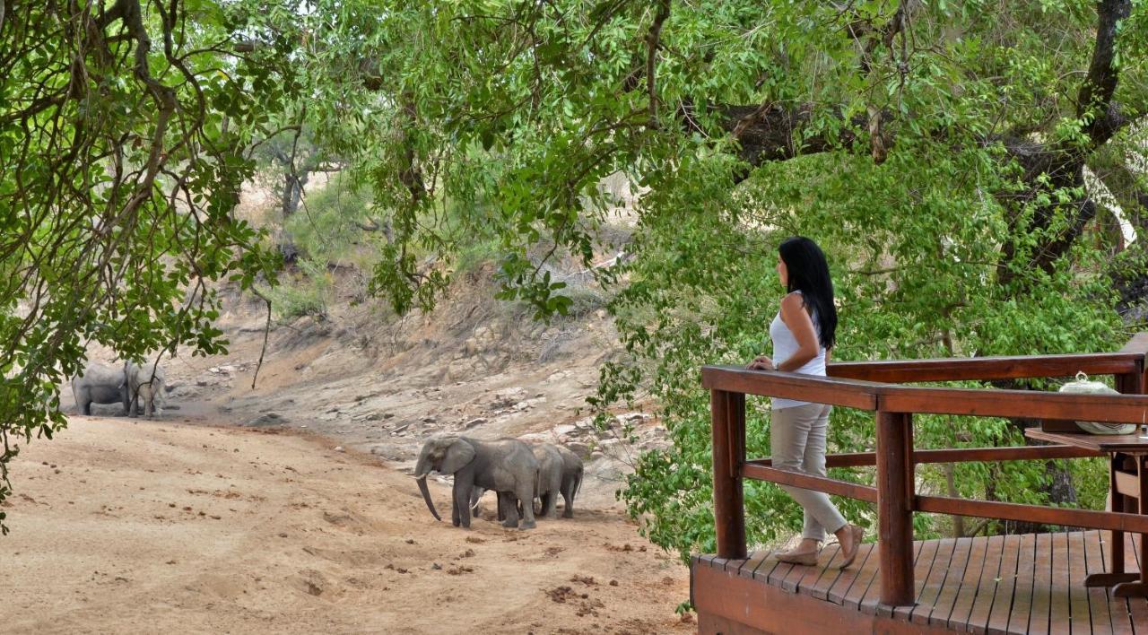 Hamiltons Tented Camp Mluwati Concession Luaran gambar