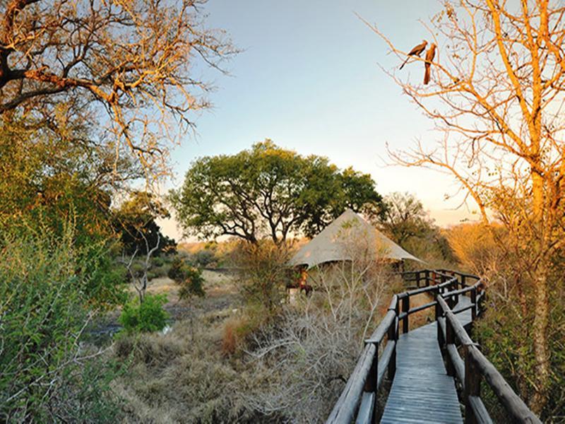 Hamiltons Tented Camp Mluwati Concession Luaran gambar