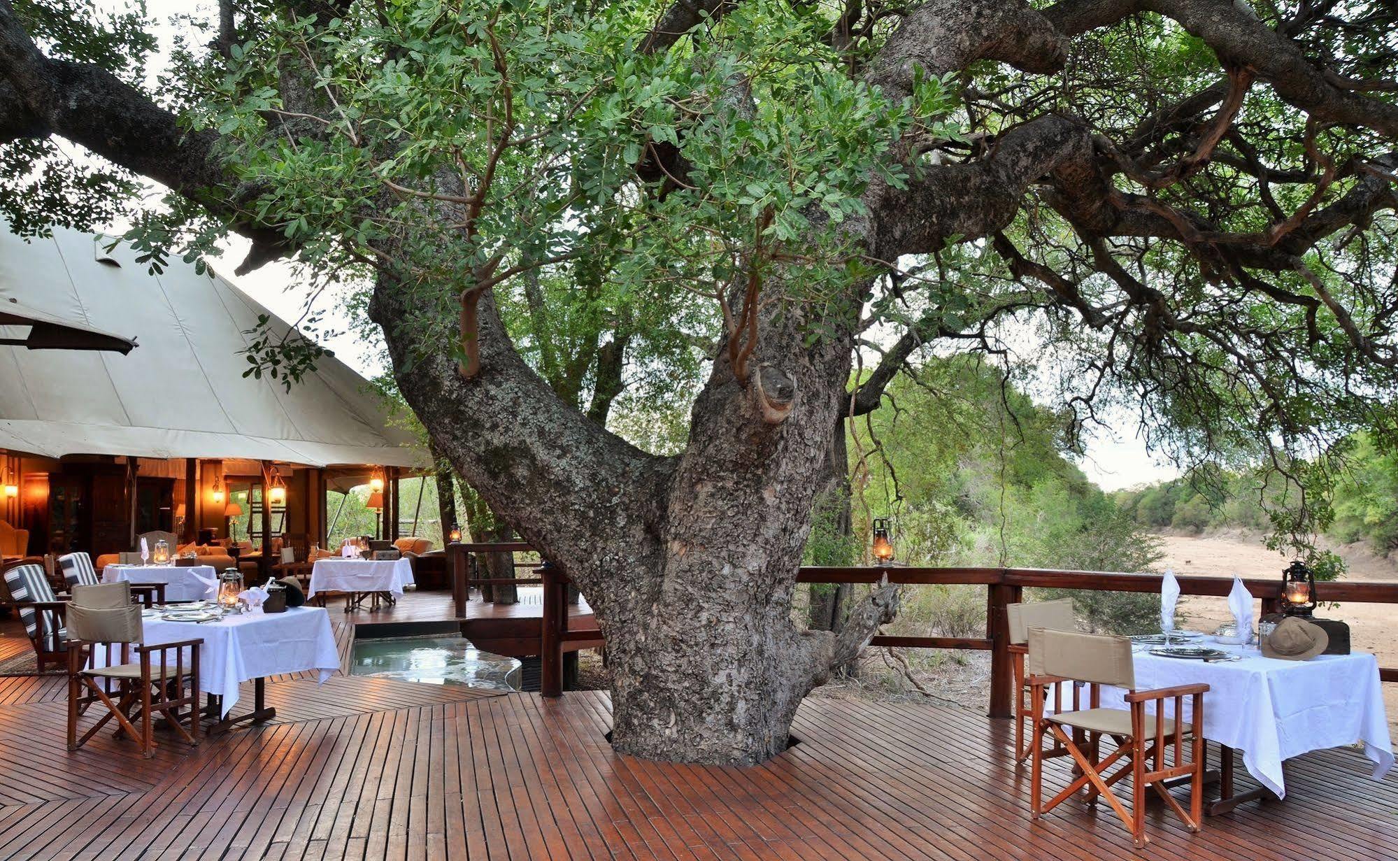 Hamiltons Tented Camp Mluwati Concession Luaran gambar