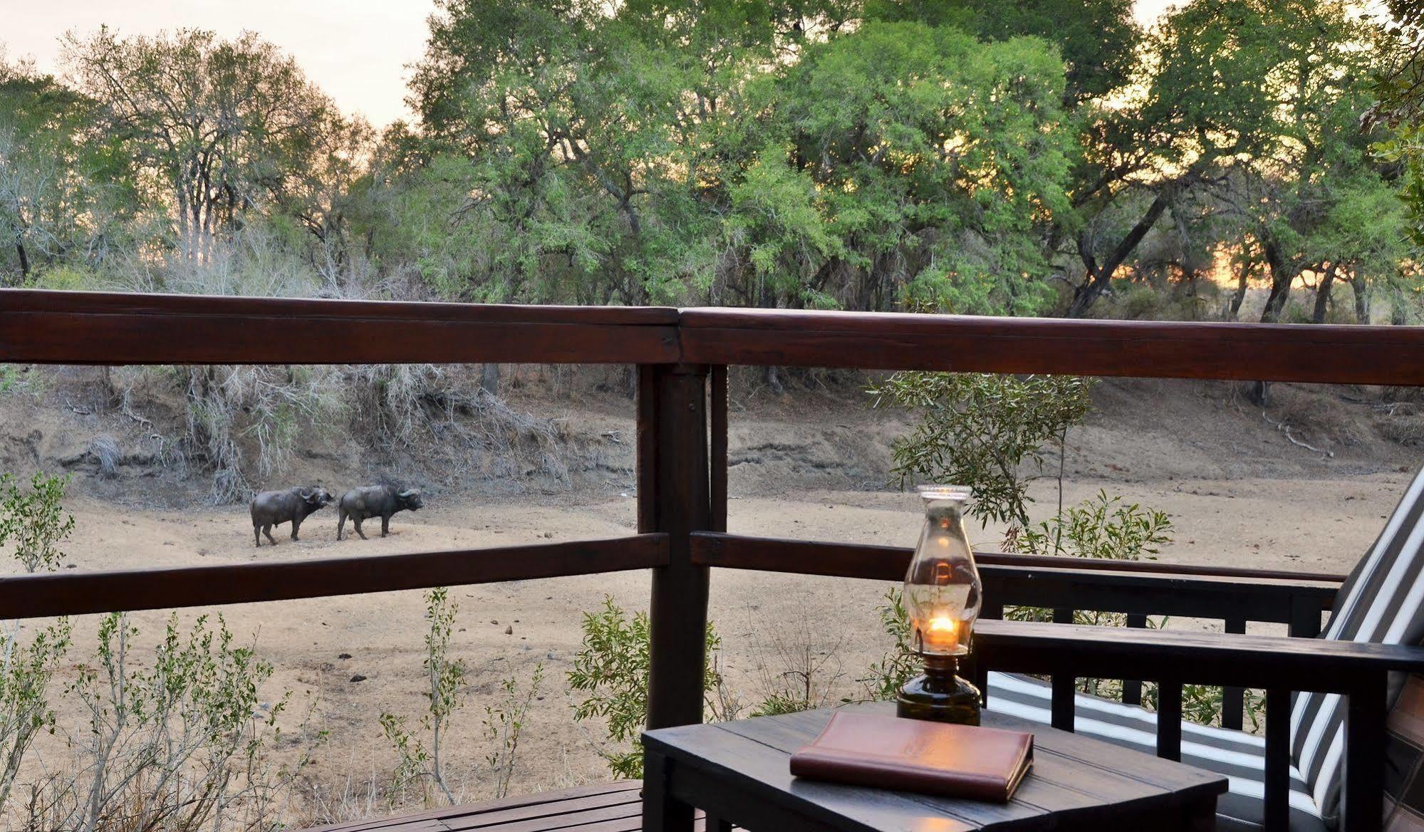 Hamiltons Tented Camp Mluwati Concession Luaran gambar
